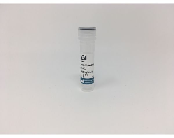 Goat Anti-Human IgG Antibody (H+L), Biotinylated