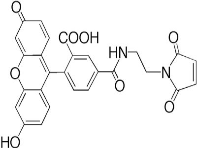 Anti-Fluorescein, Biotinylated