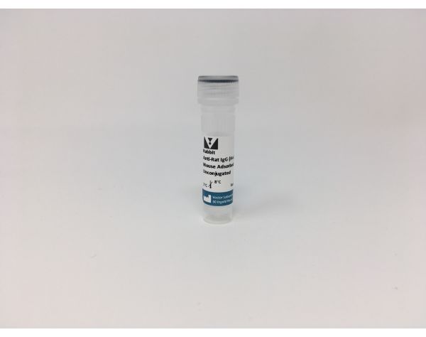 Rabbit Anti-Rat IgG Antibody (H+L), Mouse Adsorbed, Unconjugated