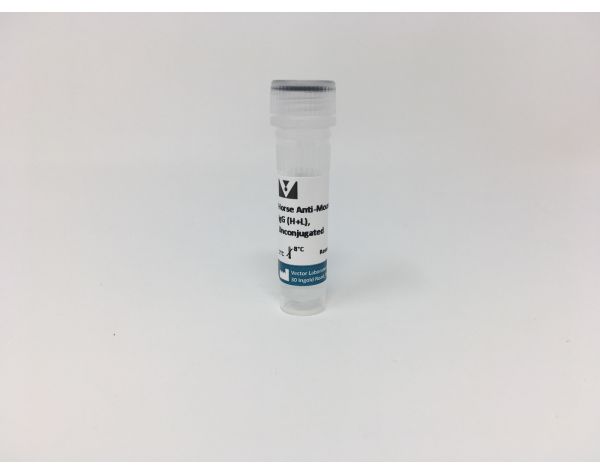 Horse Anti-Mouse IgG Antibody (H+L), Unconjugated