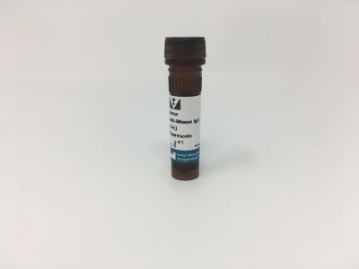 Horse Anti-Mouse IgG Antibody (H+L), Unconjugated