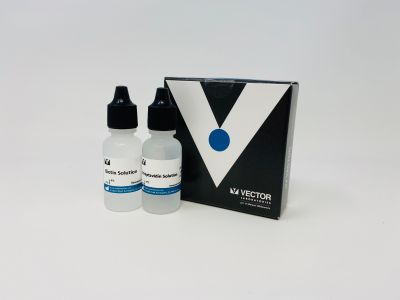 VECTASTAIN? ABC-AP Kit, Alkaline Phosphatase (Rat IgG)