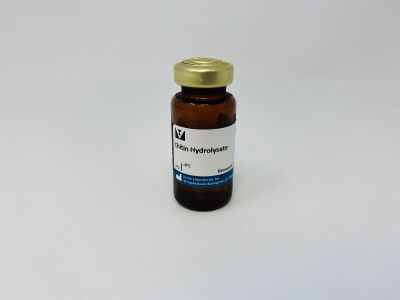 Wheat Germ Agglutinin (WGA), Peroxidase