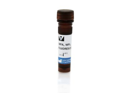 Wisteria Floribunda Lectin (WFA, WFL), Unconjugated