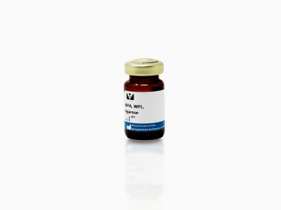 Wisteria Floribunda Lectin (WFA, WFL), Unconjugated
