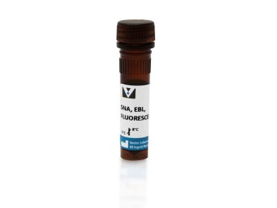 Sambucus Nigra Lectin (SNA, EBL), Unconjugated