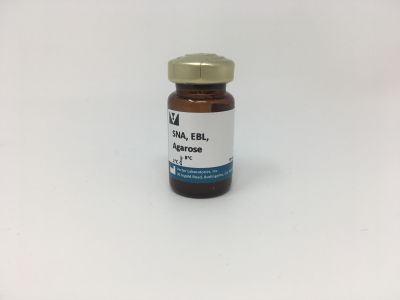 Sambucus Nigra Lectin (SNA, EBL), Unconjugated
