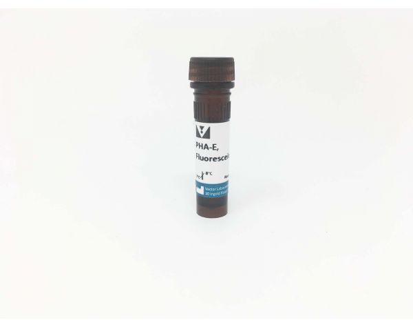 Phaseolus Vulgaris Erythroagglutinin (PHA-E), Fluorescein