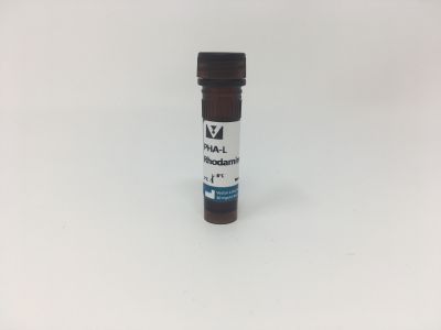 Phaseolus Vulgaris Erythroagglutinin (PHA-E), Fluorescein