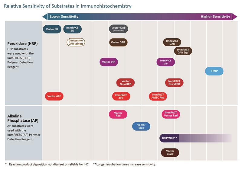 ImmPACT? SG Substrate, Peroxidase (HRP)