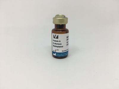 Streptavidin, Agarose