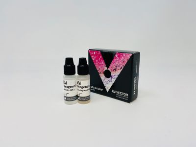 VECTASTAIN? ABC-HRP Kit, Peroxidase (Mouse IgG)