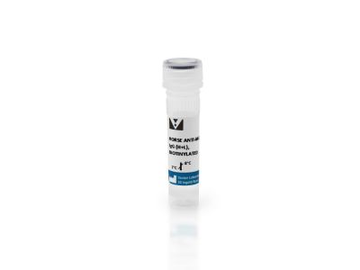 VECTASTAIN? ABC-HRP Kit, Peroxidase (Mouse IgG)
