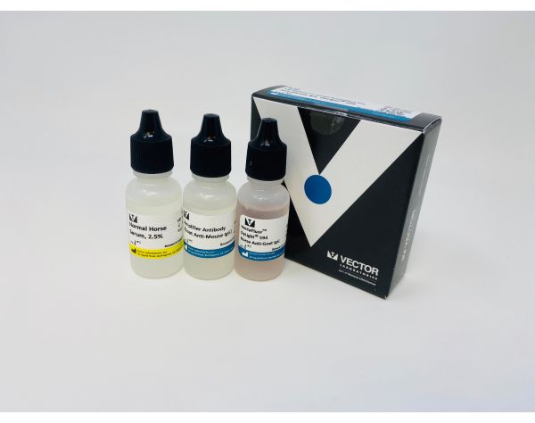 VectaFluor™ Excel Amplified Anti-Mouse IgG, DyLight? 594 Antibody Kit