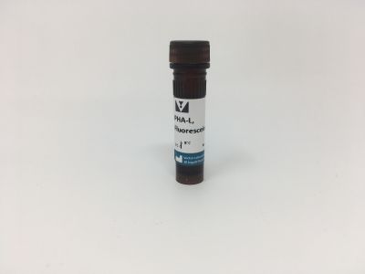 Phaseolus Vulgaris Leucoagglutinin (PHA-L), Unconjugated