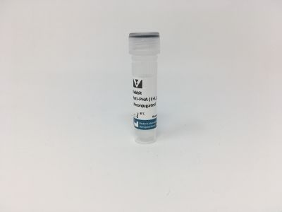 Phaseolus Vulgaris Leucoagglutinin (PHA-L), Unconjugated