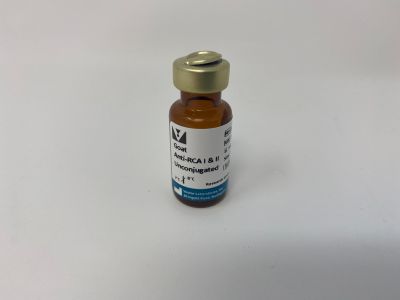 Ricinus Communis Agglutinin I (RCA I, RCA120), Unconjugated