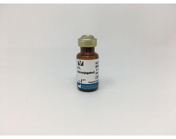 Lotus Tetragonolobus Lectin (LTL), Unconjugated