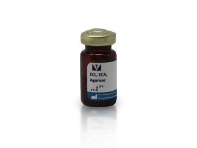 Erythrina Cristagalli Lectin (ECL, ECA), Unconjugated