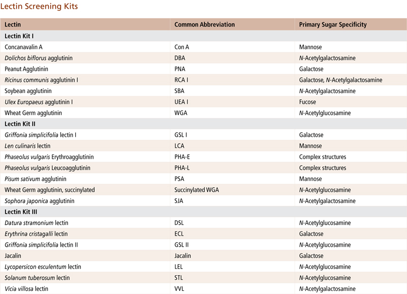 Lectin Kit I, Biotinylated