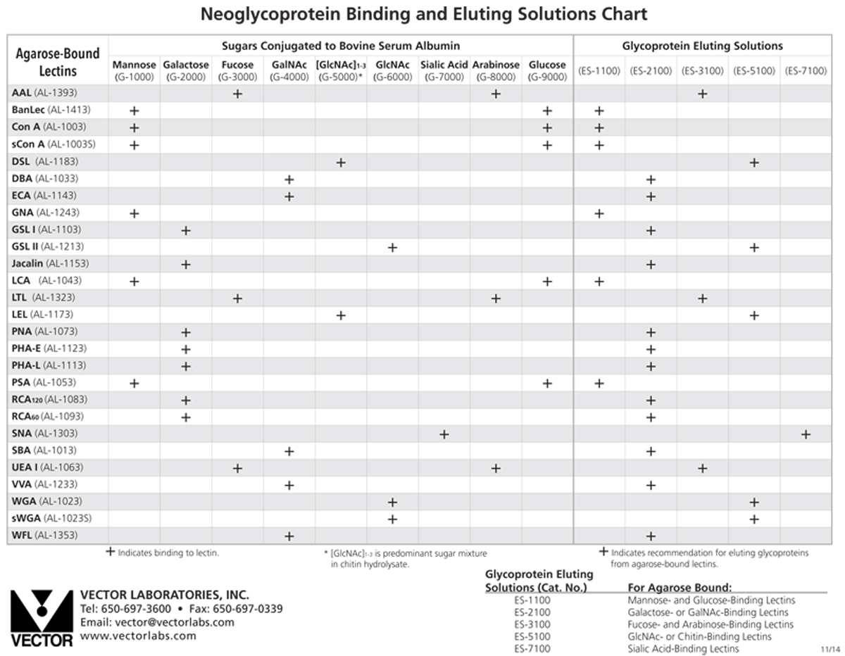 Glycoprotein Eluting Solution for Mannose/Glucose Binding Lectins