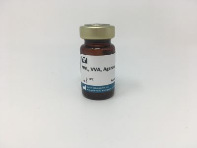 Vicia Villosa Lectin (VVL, VVA), Fluorescein