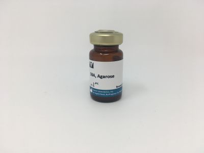 Soybean Agglutinin (SBA), Biotinylated