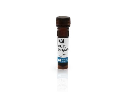 Lycopersicon esculentum (Tomato) Lectin (LEL, TL), Biotinylated
