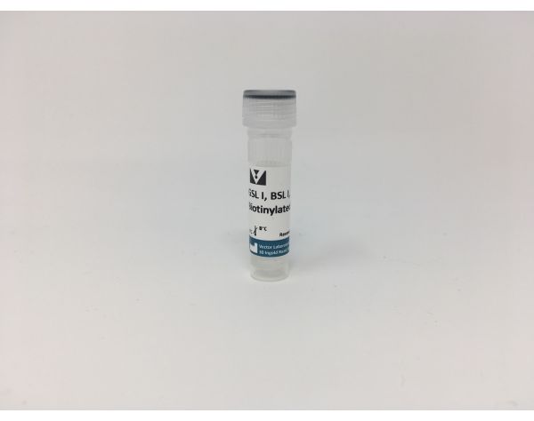 Griffonia (Bandeiraea) Simplicifolia Lectin I (GSL I, BSL I), Biotinylated