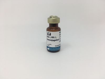 Griffonia (Bandeiraea) Simplicifolia Lectin I (GSL I, BSL I), Biotinylated