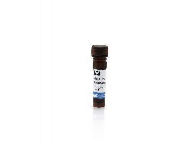 Griffonia (Bandeiraea) Simplicifolia Lectin I (GSL I, BSL I), Biotinylated