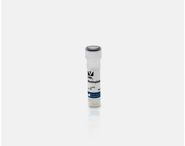 Galanthus Nivalis Lectin (GNL), Biotinylated