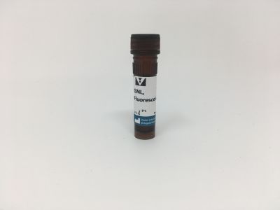 Galanthus Nivalis Lectin (GNL), Biotinylated