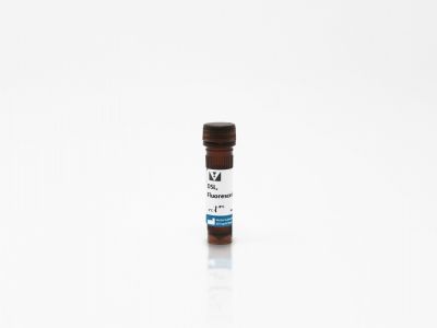 Datura Stramonium Lectin (DSL), Biotinylated