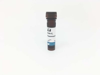 Rabbit Anti-Phaseolus Vulgaris Agglutinin (E+L), Unconjugated
