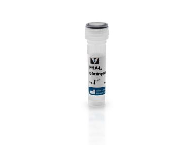 Rabbit Anti-Phaseolus Vulgaris Agglutinin (E+L), Unconjugated