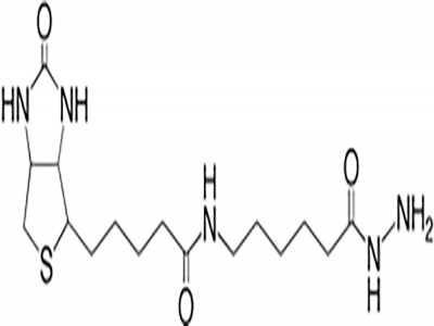 QuantTag Biotin Quantitation Kit