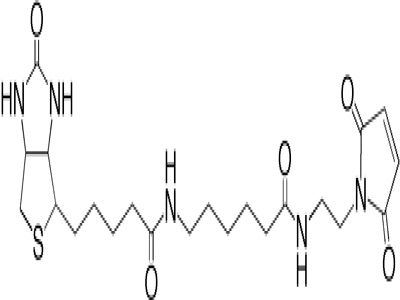 QuantTag Biotin Quantitation Kit