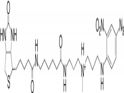 QuantTag Biotin Quantitation Kit