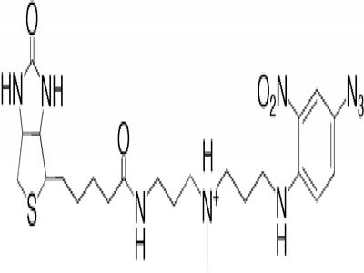 QuantTag Biotin Quantitation Kit