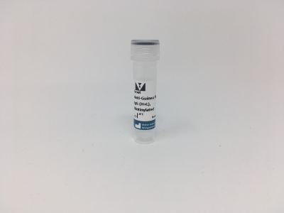 Goat Anti-Hamster IgG Antibody (H+L), Unconjugated