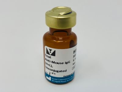 Goat Anti-Hamster IgG Antibody (H+L), Unconjugated