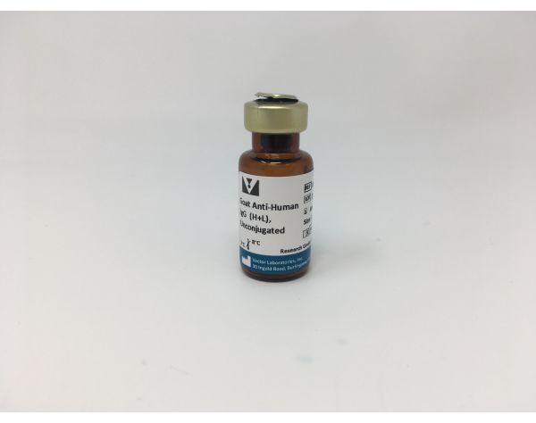 Goat Anti-Human IgG Antibody (H+L), Unconjugated