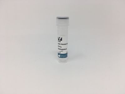 Goat Anti-Human IgG Antibody (H+L), Unconjugated