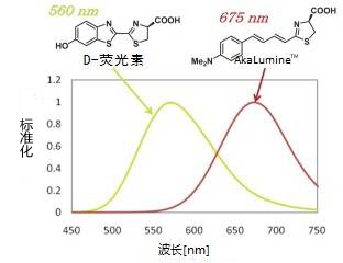 AkaLumine™                              近紅外發(fā)光熒光素類似物