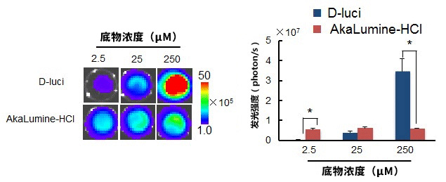 AkaLumine-HCl（TokeOni）                              實(shí)現(xiàn)生物體內(nèi)部深處成像