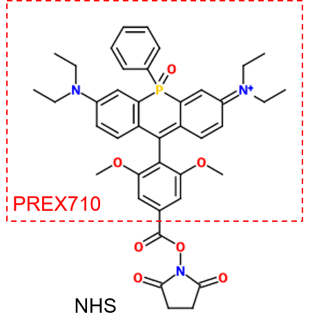 PREX710-NHS (Super PhotoStable Dye)                              化學(xué)穩(wěn)定性高的耐光性近紅外熒光染料