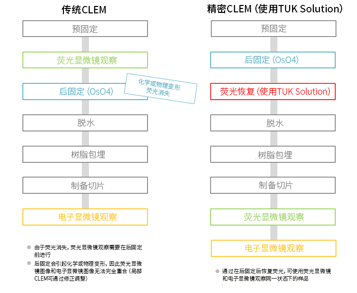 CLEM用熒光恢復(fù)試劑（TUK Solution for multicolor）