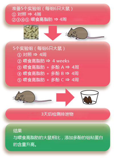 粘蛋白檢測(cè)試劑盒                              Mucin Assay Kit