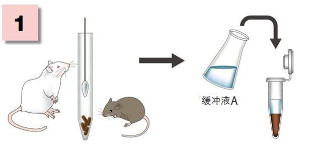 粘蛋白檢測(cè)試劑盒                              Mucin Assay Kit